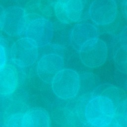 Bokeh-443